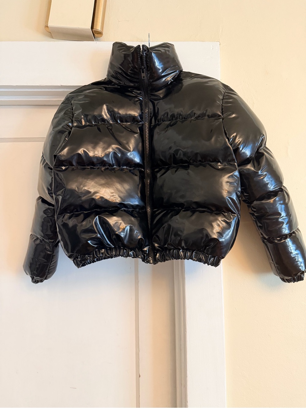 Women's Shiny Black Cropped Puffer Jacket - High Collar Zip